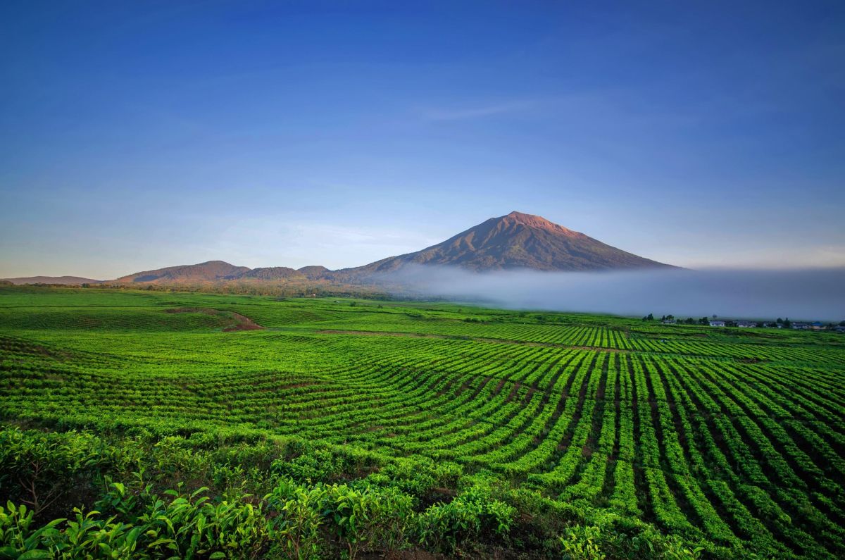 Gunung Kerinci